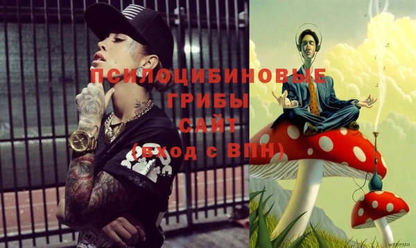спайс Беломорск