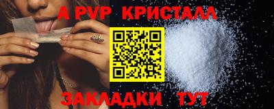 твердый Бийск