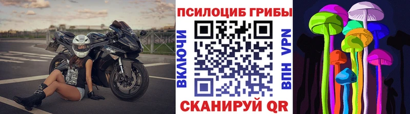 Псилоцибиновые грибы Magic Shrooms МЕГА ТОР Гай